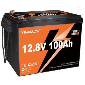 Аккумуляторная батарея YEAGULCH Mini Max LiFePO4 12,8V 100Ah 1280Wh, BMS-100A, ( 299 x 193 x 200) , M8, 12.9kg Q1
