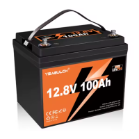 Акумуляторна батарея YEAGULCH Mini LiFePO4 12,8V 100Ah 1280Wh, BMS-100A, (246 x 187 x 197) , M8, 12.9kg Q1